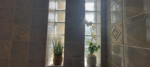 a room with two potted plants and two windows at Harmony 5 in Áyios Spirídhon