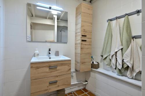 a bathroom with a sink and a mirror at Sport et réconfort en Couserans in Soulan