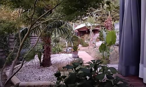 a garden with a palm tree and some plants at Chambres d'Hôtes Villa Aquitaine in Bretagne-de-Marsan