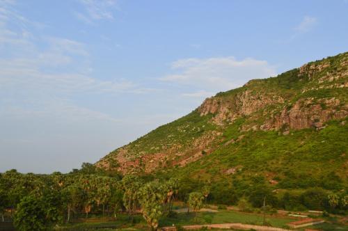 a mountain with trees in front of it at Aakarsh Hill View Hotel in Rājgīr