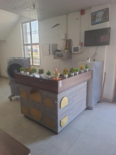 a counter with potted plants on it in a room at Rest area 