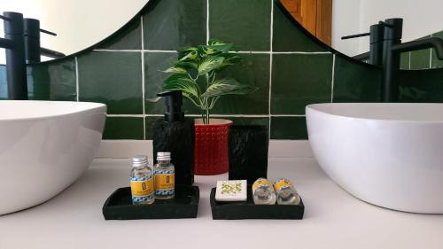 a bathroom with a sink and a toilet and a plant at Cortijo Negretti in Herrera de Alcántara