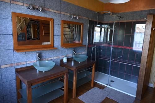 Ένα μπάνιο στο Dogfriendly, grand jardin clos, 4 chambres, grand salon avec cheminée - Larès