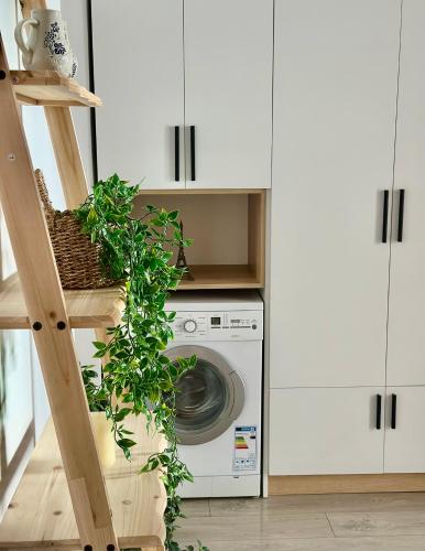 Foto Soraya Home - New Bazaar 5