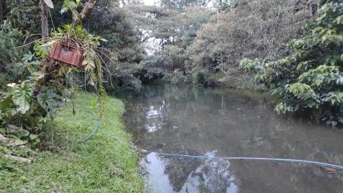 a hose is hooked up to a river at Cabaña AMOTO in Turrialba