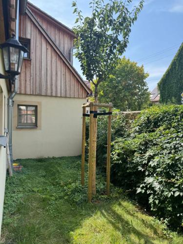 a tree in a box in front of a house at Quiet apartment in Dresden in Dresden