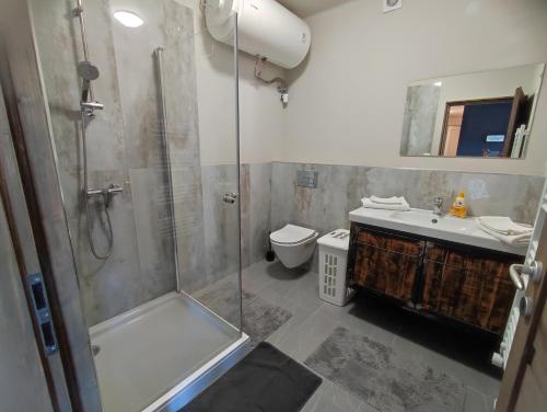 a bathroom with a shower and a toilet and a sink at Deák Houses in Nagykőrös
