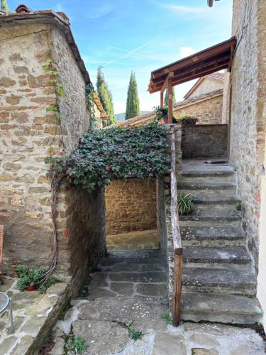 Palazzo del PeroにあるBorgo La Valleのツタが絡まった古い建物の階段