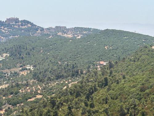 Naturlandschaft in der Nähe der Lodge