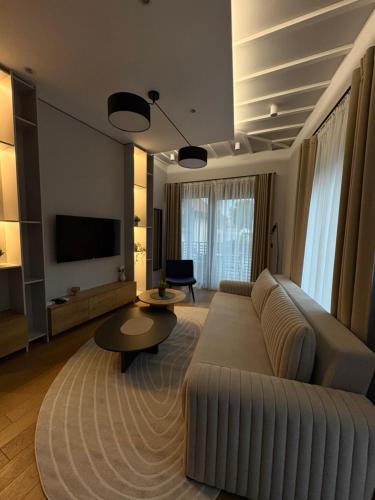 チャチャクにあるMadera apartmentsのソファとテレビのあるリビングルーム