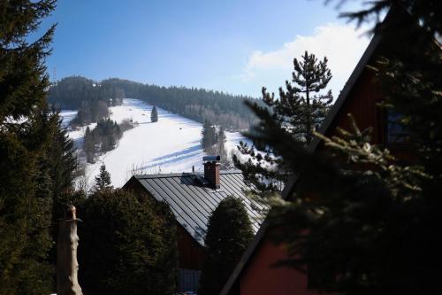 a roof of a house with a snow covered slope at Chalupa Baronka in Čenkovice