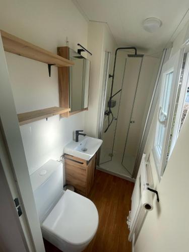 a bathroom with a toilet and a sink and a shower at Chalet VeerLake in Lathum