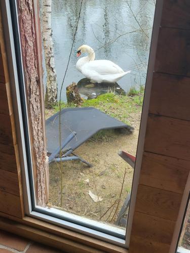 Galeriebild der Unterkunft Cabane atypique sur une Île in Sury-aux-Bois