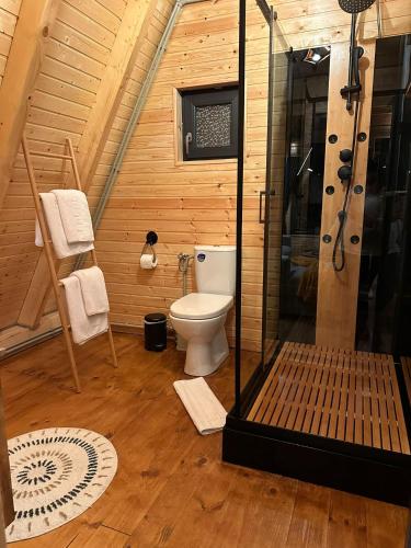 Salle de bains dans l'établissement Cabanuta din munti