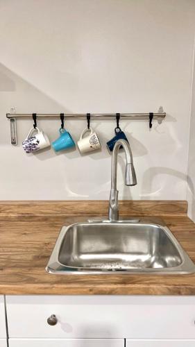 a kitchen sink with four cups hanging from a rack at Charlottetown Cozy Basement Suites in Charlottetown