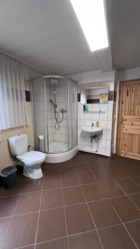 a bathroom with a toilet and a shower and a sink at Ferienhaus zwischen Bach und Luther mit Sauna in Eisenach