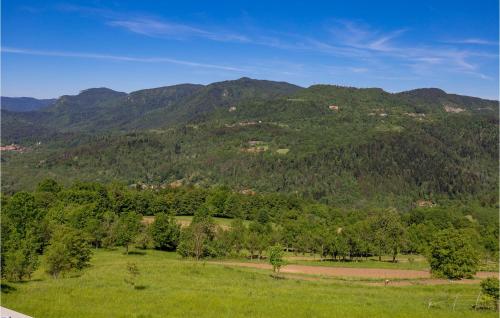 a green field with trees and mountains in the background at Amazing Home In Podstene in Kupa
