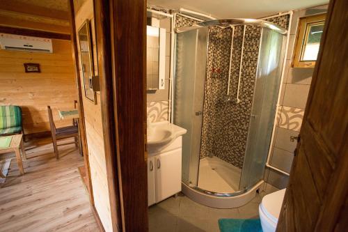 Ein Badezimmer in der Unterkunft Etno Apartment Vrdnik