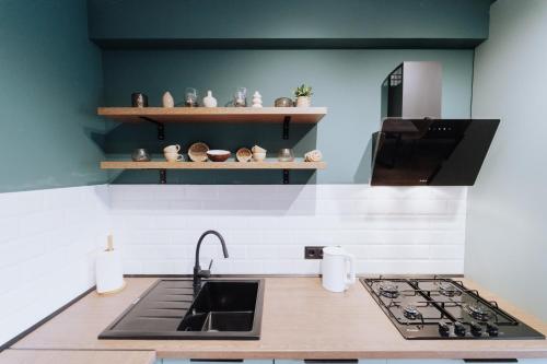 a kitchen with a sink and a stove at Bright 1BDR near center and park, Râșcani in Chişinău