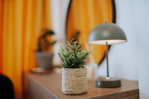 a table with a lamp and a plant on it at Bright 1BDR near center and park, Râșcani in Chişinău