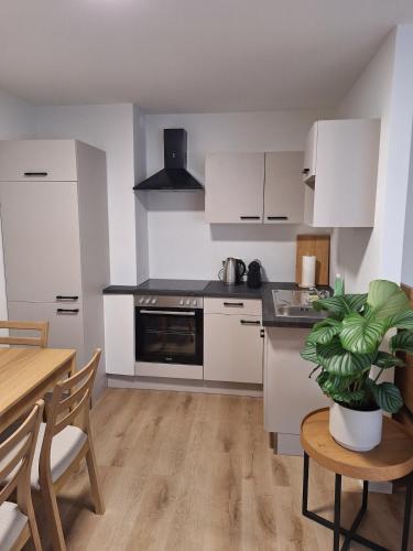 Кухня или мини-кухня в City Apartment
