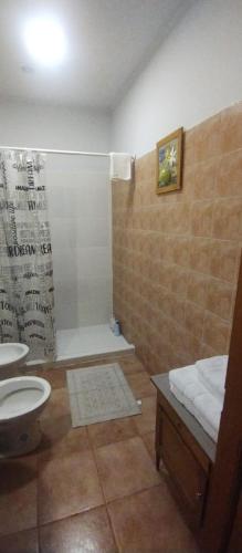 a bathroom with a toilet and a shower at Rayen hue in Esquel