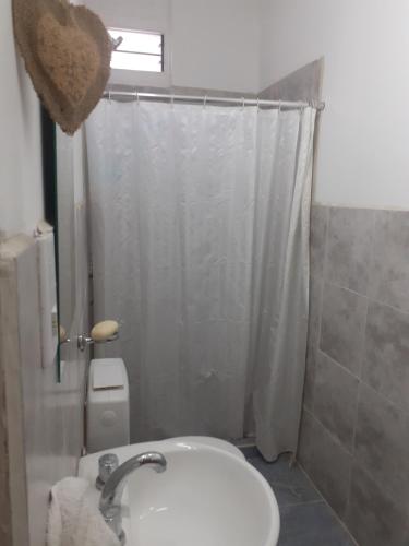 a bathroom with a toilet and a sink and a shower at Dionycio in Cafayate