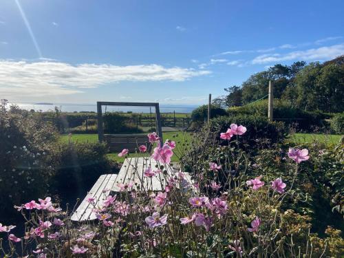 a bench in the middle of a field of flowers at Kirkmay 4 in Crail