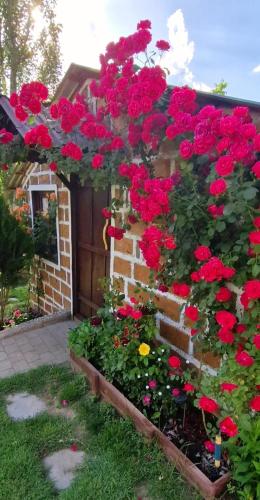 a bunch of red flowers in a garden at GreenField Resort in Yeghegnadzor