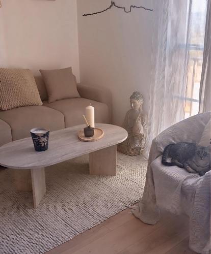 a living room with a coffee table and a couch at Magnifique appartement lumineux avec piscine in Mallemort