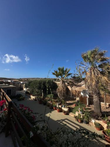 a view of a garden from a balcony at Casetta immersa nel verde, lontano dal caos in Lampedusa