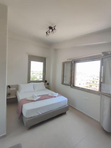 Galanthus Loft 4