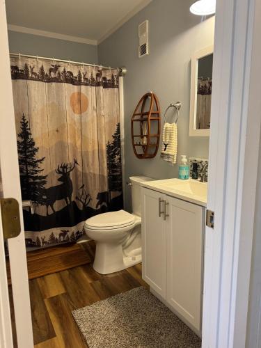 a bathroom with a toilet and a shower curtain at Beech Mountain Getaway in Beech Mountain