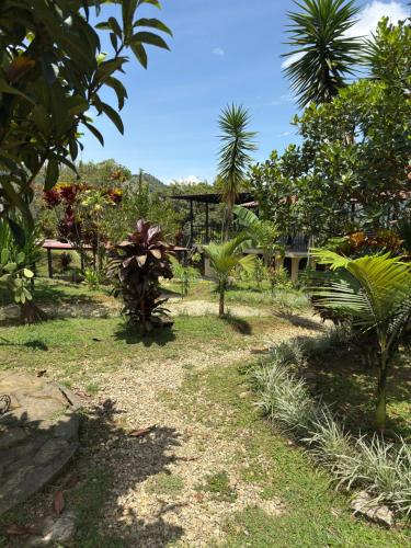 a garden with palm trees and a house in the background at Jaragual EcoHostel in La Vega
