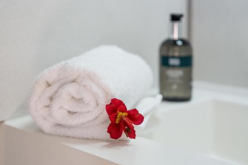 サールにあるLogis Hôtel Baratxarteaのバスルームのカウンターに赤い花のついたタオル