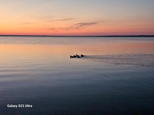 two people are in a boat in the water at sunset at Reel Relaxin Retreat to Getaway! in Houghton Lake
