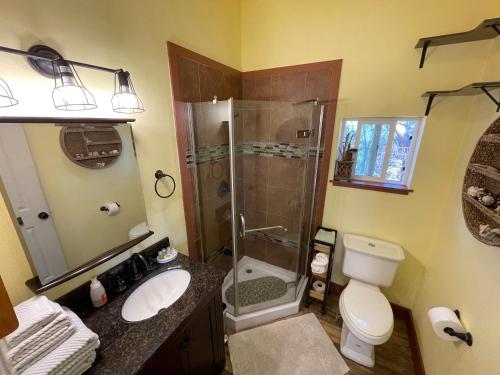 a bathroom with a shower and a sink and a toilet at Blissful Acres hilltop cottage in Grass Valley