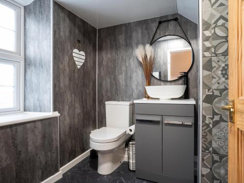 a bathroom with a toilet and a mirror at Garn View in Dolgellau