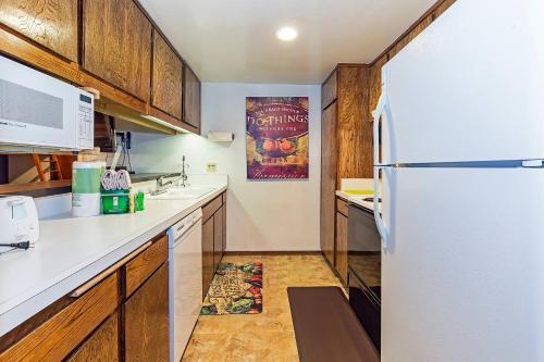 Kuchyň nebo kuchyňský kout v ubytování Horizons Year-Round Fun with Rec Room