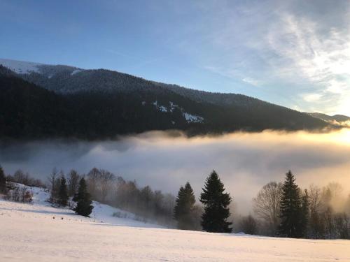 a view of a foggy valley with trees and mountains at Дбайлива Ципа in Mizhhirʼʼya