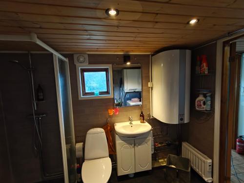 Un baño pequeño con lavabo e inodoro. en Enkelt nära havet, en Skummeslövsstrand