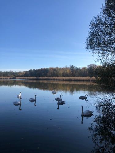 Naturlandschaft in der Nähe des Ferienhauses