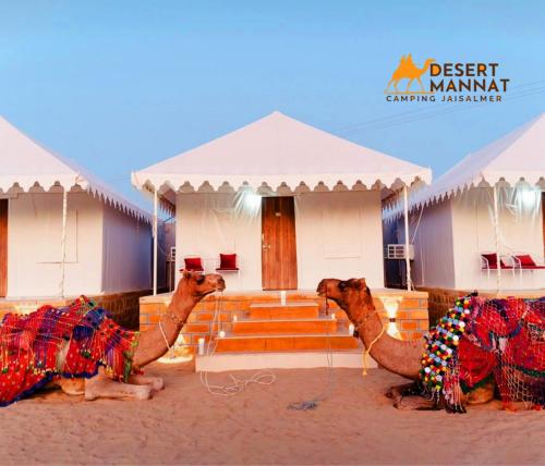 Un grupo de camellos sentados frente a un edificio. en Desert Mannat Camping Jaisalmer, en Sām