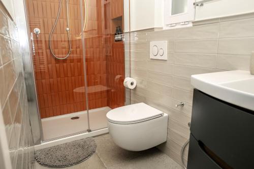 a bathroom with a shower and a toilet and a sink at Stay in Chianti in Greve in Chianti