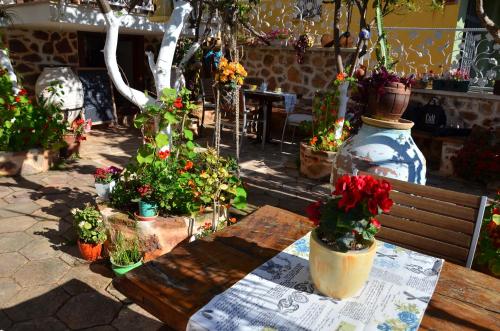Giardino di Lemon Villa Hotel