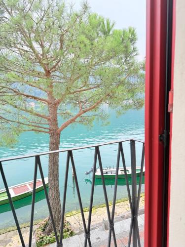 a tree on the beach viewed from a window at Liane in Morcote