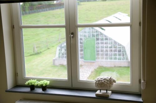 a window with two potted plants on a window sill at B&B Vallis Dyliae in Korbeek-Dijle