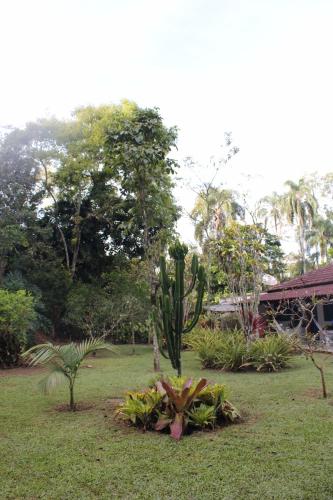 a garden with a cactus and plants in the grass at Pousada do Campo in Barra do Piraí