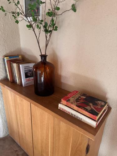 a vase sitting on top of a shelf with books at Подковите in Karlovo