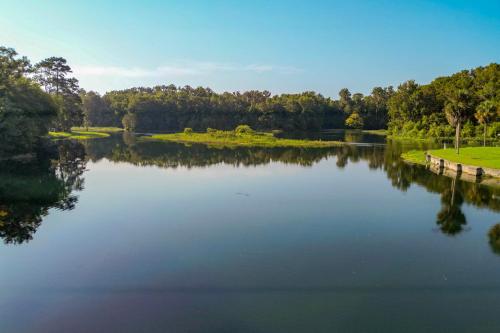 a view of a lake with trees in the background at Dock and Kayaks Riverfront Dunnellon Home! in Dunnellon
